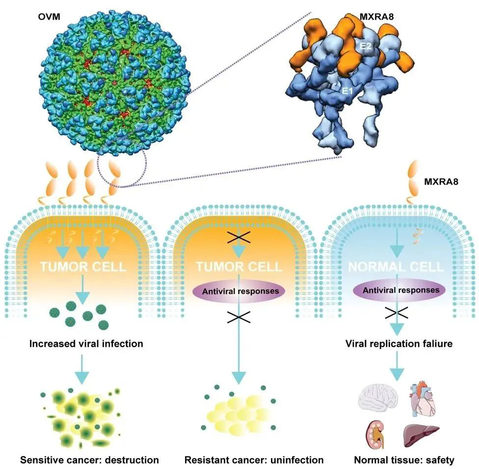 pg����ģ����(�й���)�ٷ���վ
