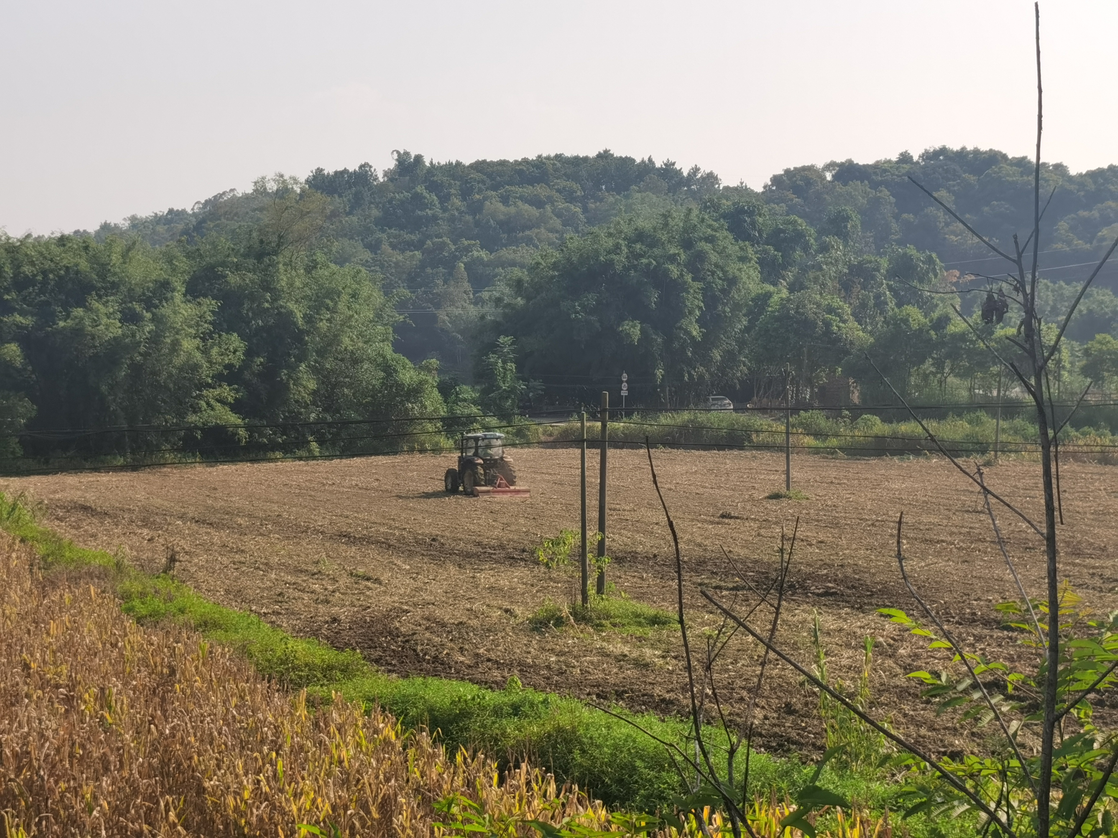 pg����ģ����(�й���)�ٷ���վ