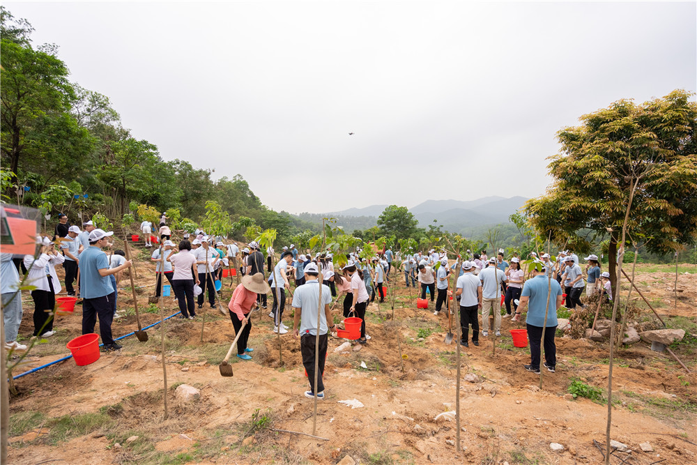 pg����ģ����(�й���)�ٷ���վ