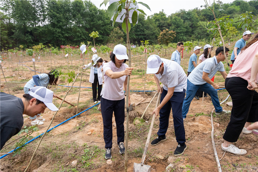 pg����ģ����(�й���)�ٷ���վ