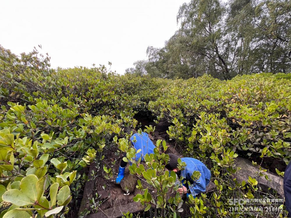 pg����ģ����(�й���)�ٷ���վ