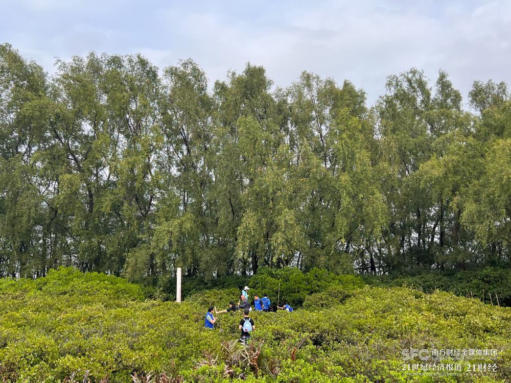 pg����ģ����(�й���)�ٷ���վ