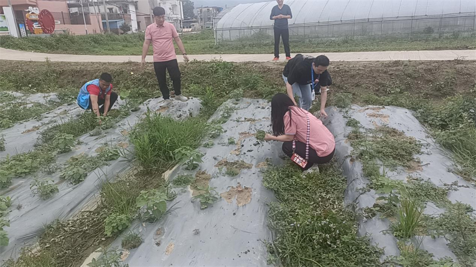 pg����ģ����(�й���)�ٷ���վ