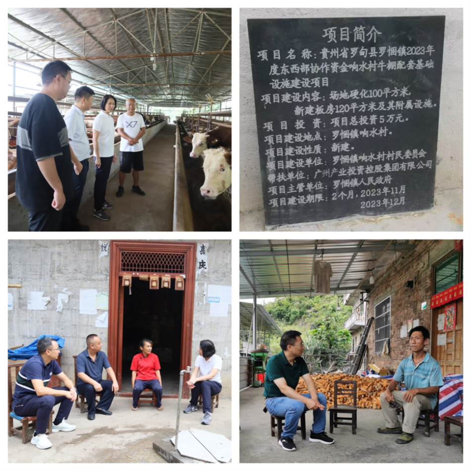 pg����ģ����(�й���)�ٷ���վ