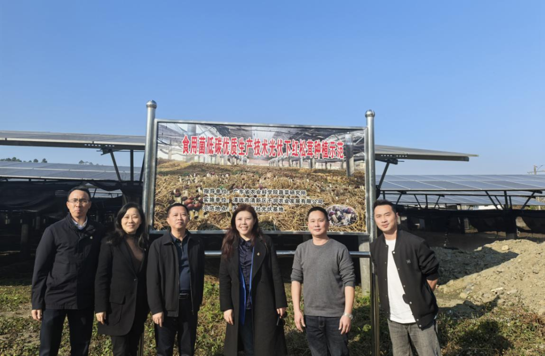 pg����ģ����(�й���)�ٷ���վ