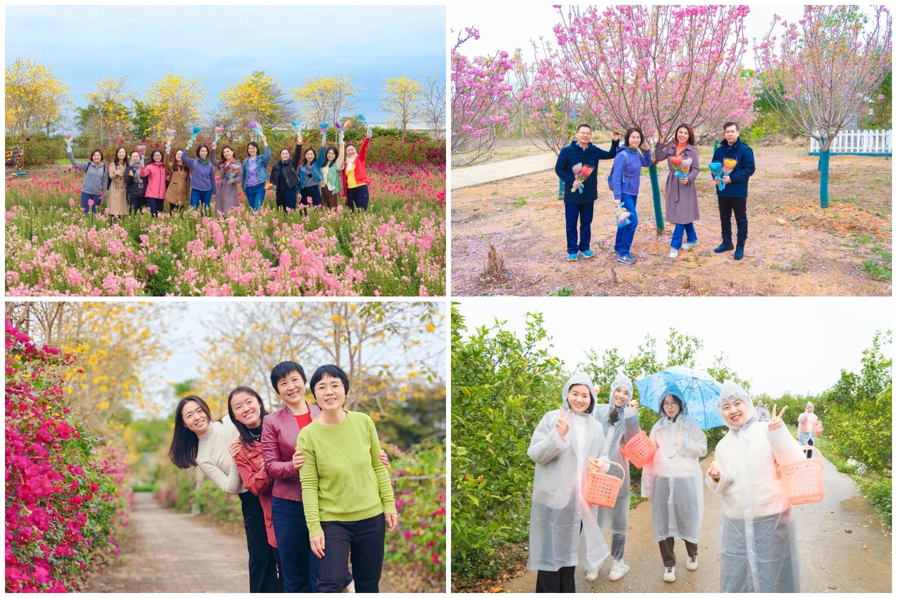 pg����ģ����(�й���)�ٷ���վ