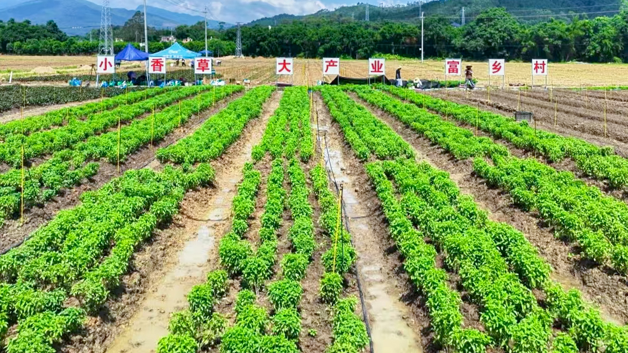 pg����ģ����(�й���)�ٷ���վ