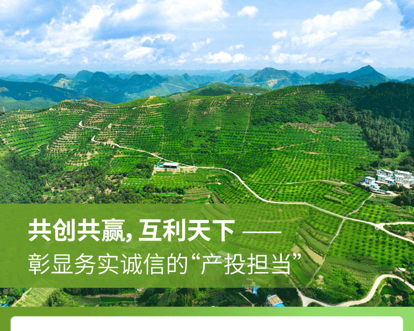 pg����ģ����(�й���)�ٷ���վ