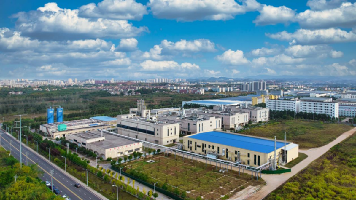 pg����ģ����(�й���)�ٷ���վ