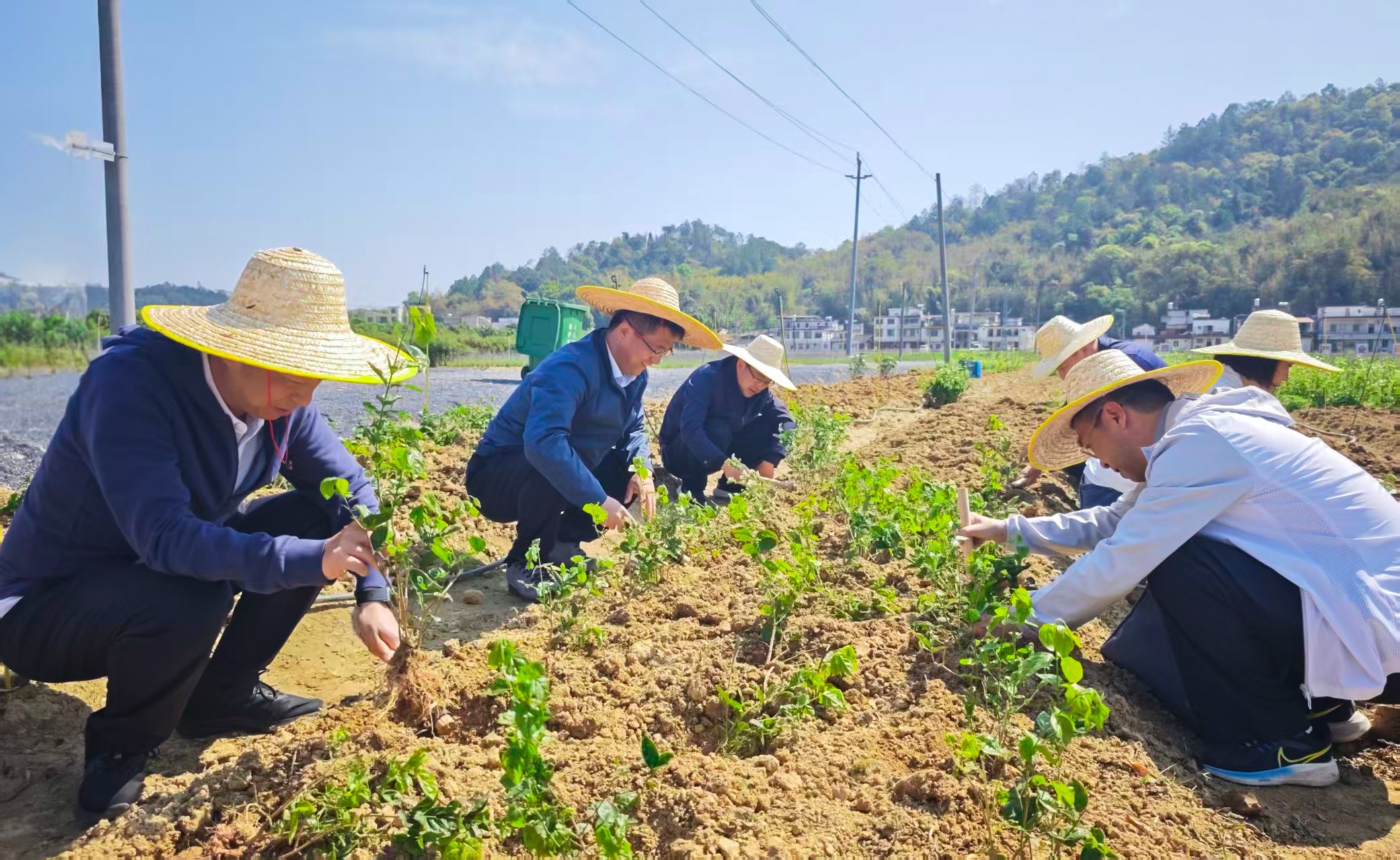 pg����ģ����(�й���)�ٷ���վ