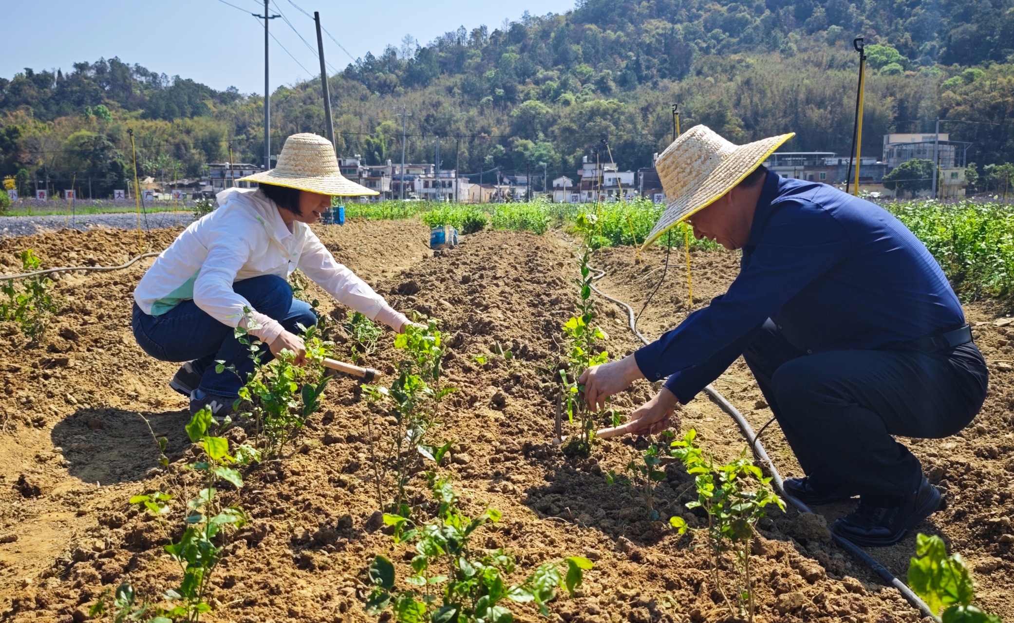 pg����ģ����(�й���)�ٷ���վ