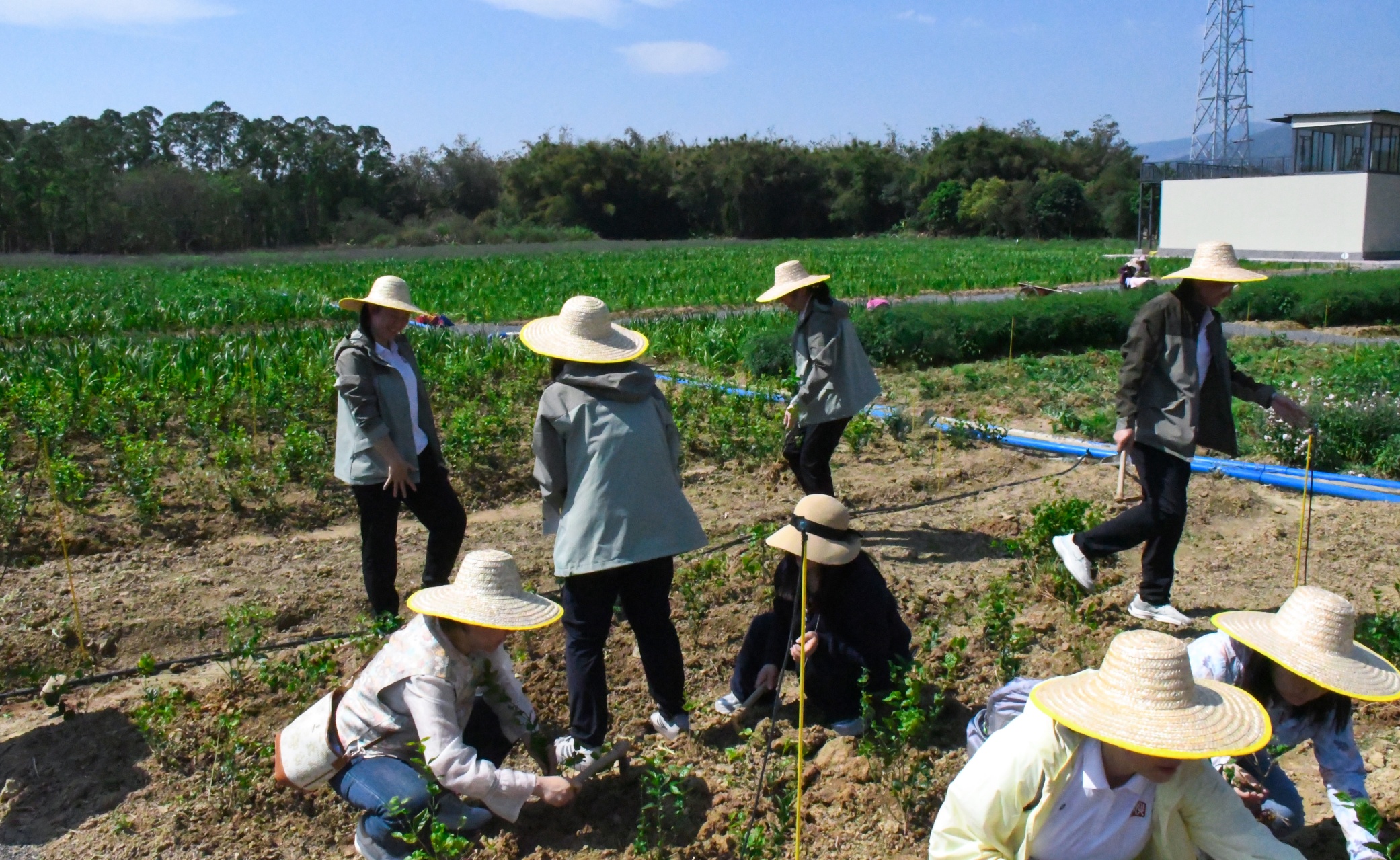 pg����ģ����(�й���)�ٷ���վ